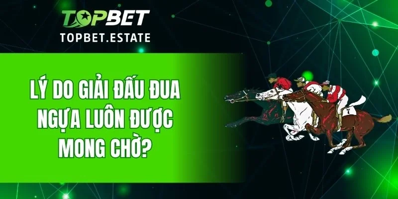 Lý do giải đấu đua ngựa luôn được mong chờ?
