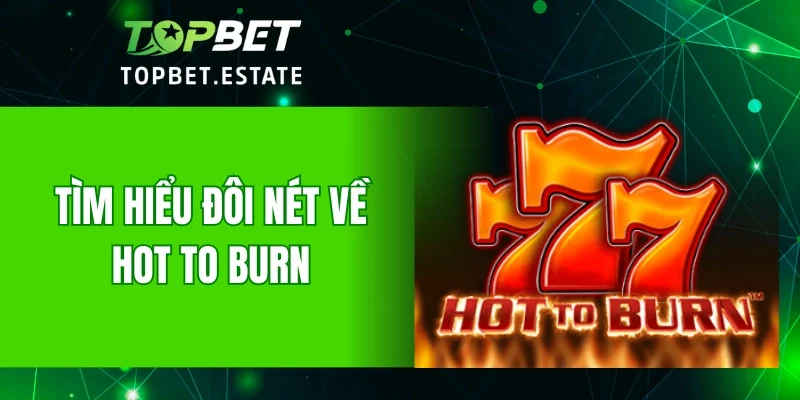 Tìm hiểu đôi nét về Hot To Burn