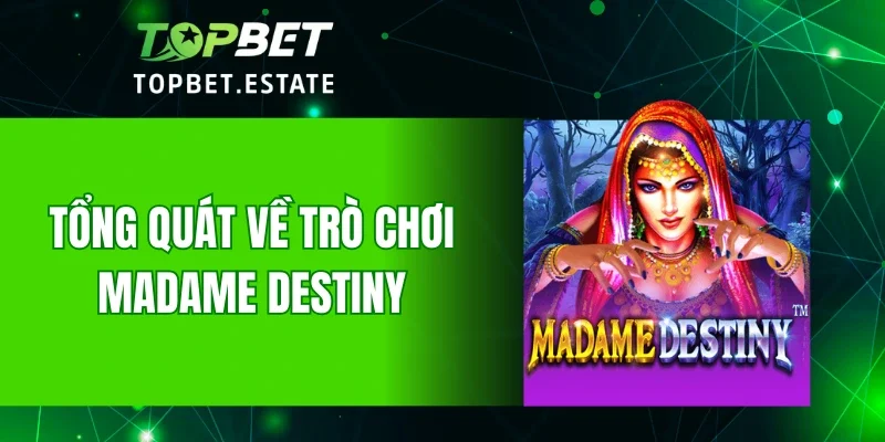 Tổng quát về trò chơi Madame Destiny